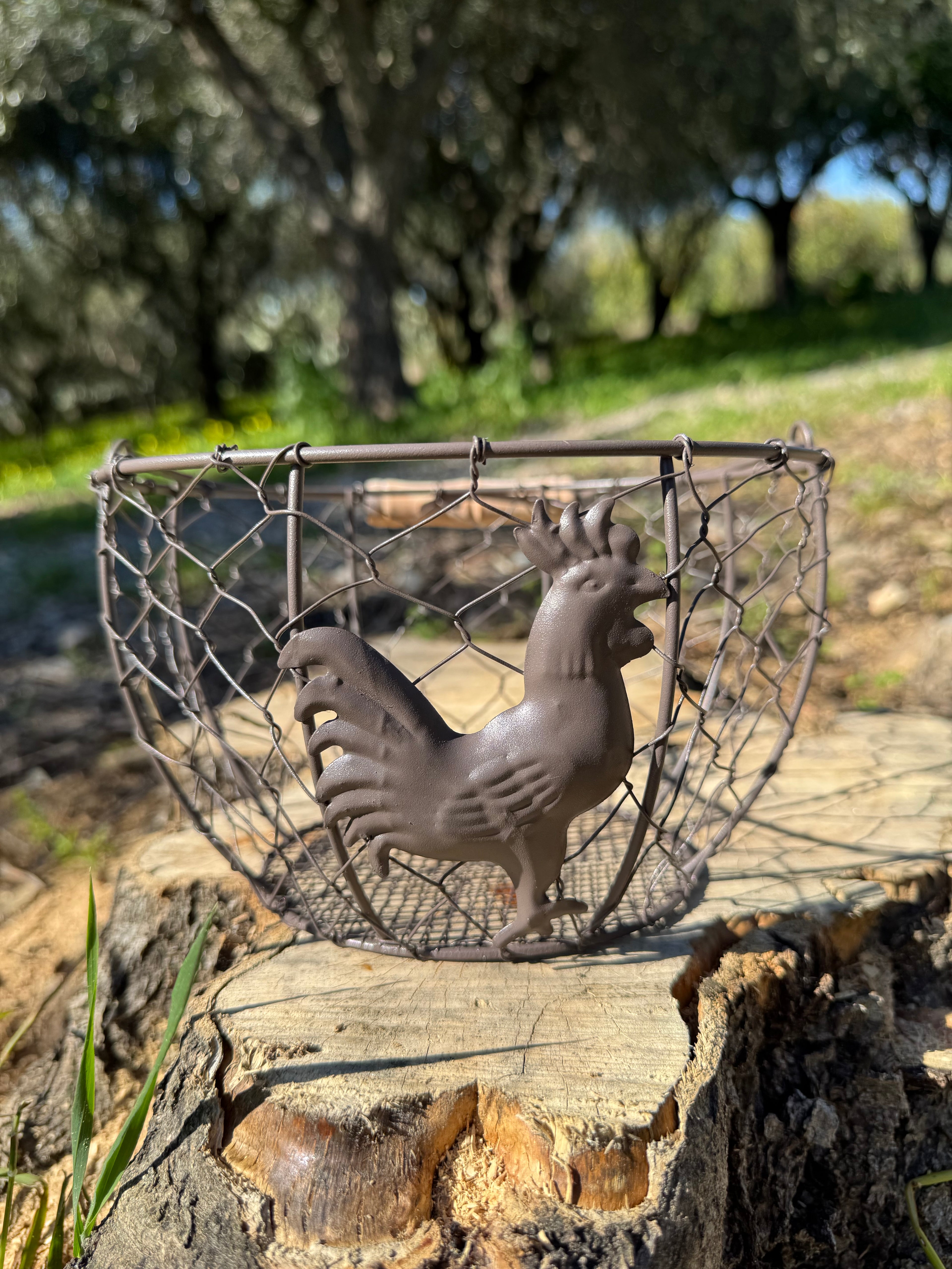 Cestino Raccolta Uova – Gallo in Metallo