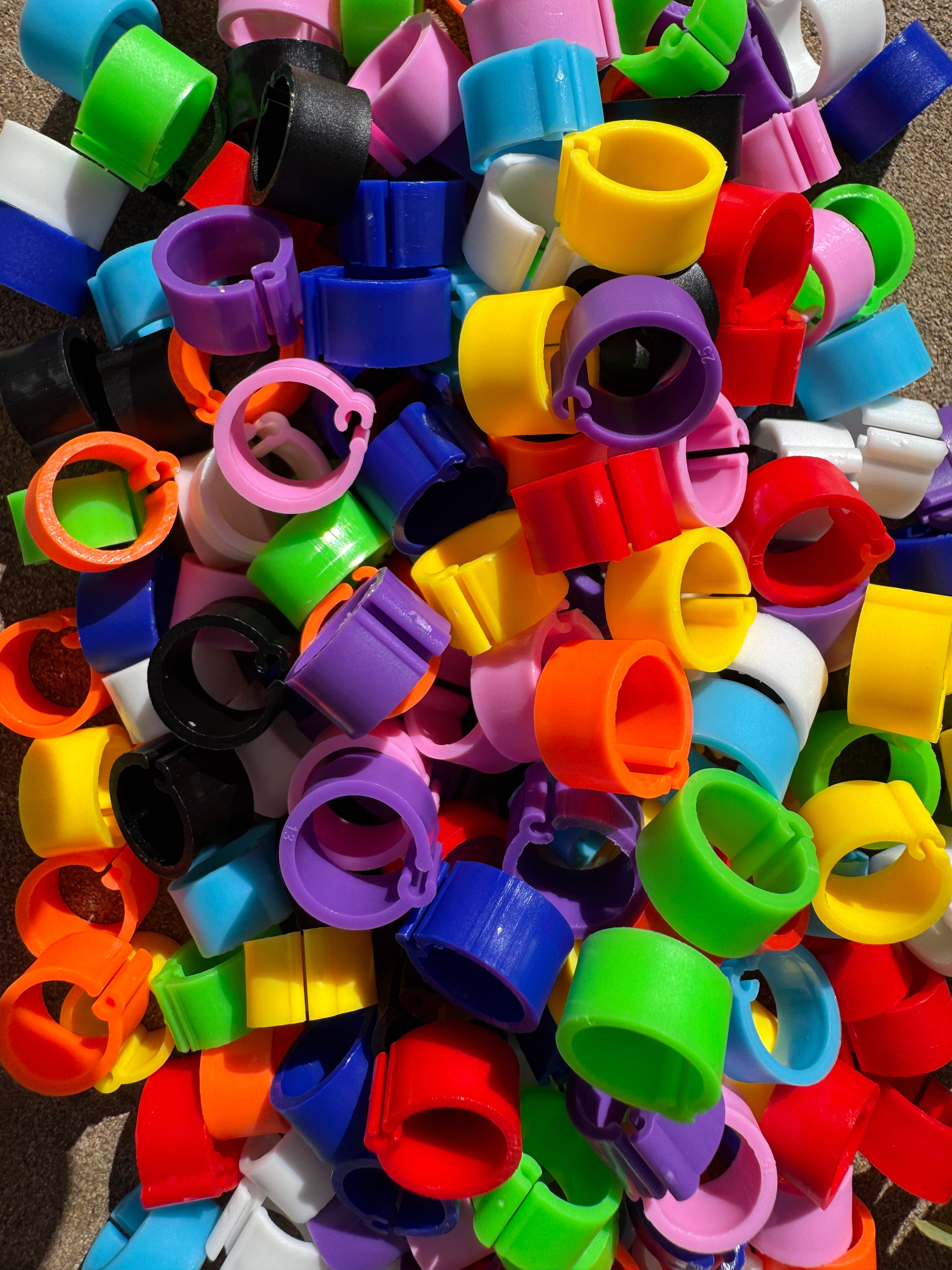 Anelli Identificativi Per Quaglie e Piccoli Uccelli