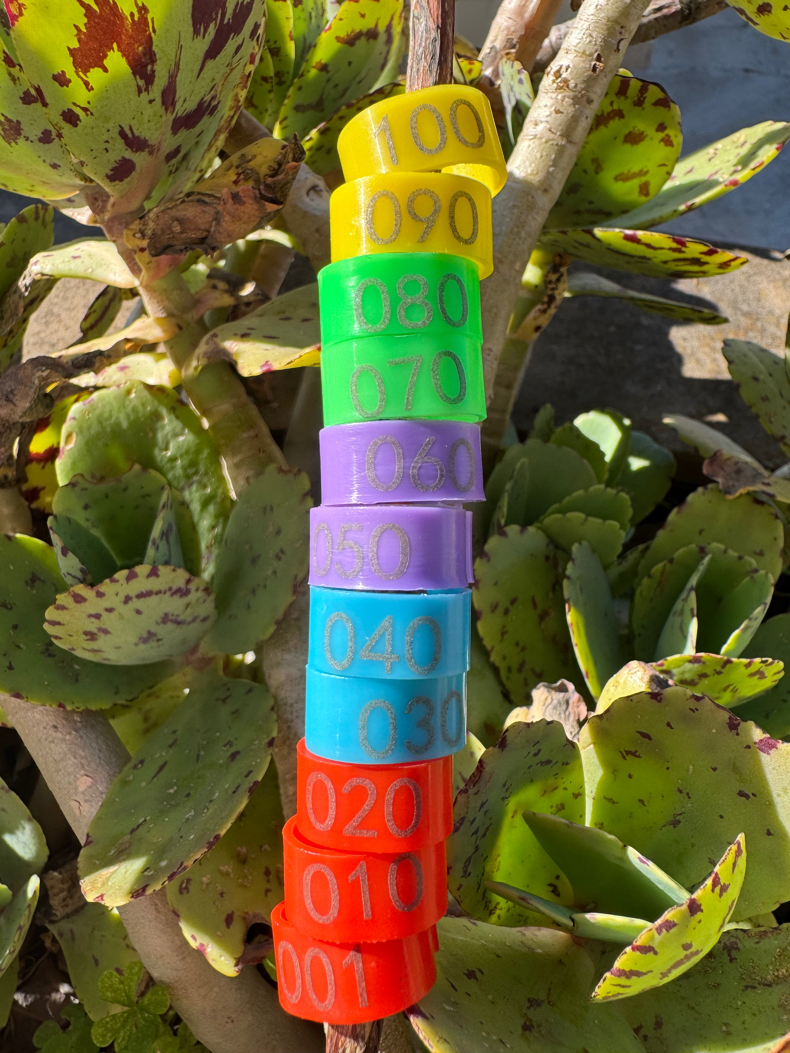 Anelli Identificativi Numerati Per Galline